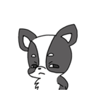 オイラ 小太郎（個別スタンプ：11）