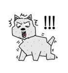 Terrain The westie（個別スタンプ：7）