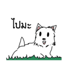Terrain The westie（個別スタンプ：22）