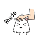 Terrain The westie（個別スタンプ：25）
