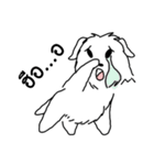 Terrain The westie（個別スタンプ：26）