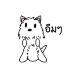 Terrain The westie（個別スタンプ：40）