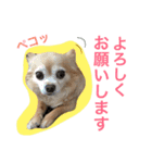 ワルツの日常（個別スタンプ：8）