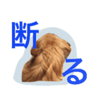 ワルツの日常（個別スタンプ：9）