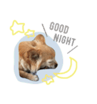 ワルツの日常（個別スタンプ：10）