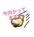 ワルツの日常（個別スタンプ：11）