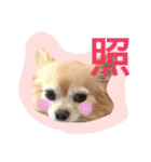 ワルツの日常（個別スタンプ：19）