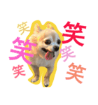 ワルツの日常（個別スタンプ：20）