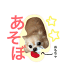 ワルツの日常（個別スタンプ：21）