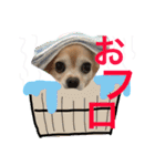 ワルツの日常（個別スタンプ：22）
