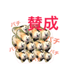 ワルツの日常（個別スタンプ：24）