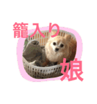 ワルツの日常（個別スタンプ：27）