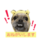 まるの ティナ（個別スタンプ：21）