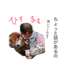 komari.sticker 2（個別スタンプ：7）