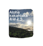 Aloha 2017（個別スタンプ：2）