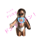 いおりといっしょ（個別スタンプ：6）