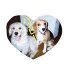 ビーグル犬 スタンプ（個別スタンプ：23）