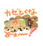 犬猫家族（個別スタンプ：7）
