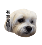 BallBall Life（個別スタンプ：29）