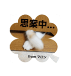 マロンの呟き（個別スタンプ：31）
