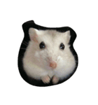 moues（個別スタンプ：1）