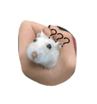 moues（個別スタンプ：4）