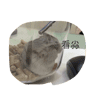 moues（個別スタンプ：8）