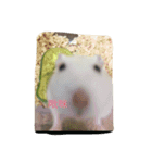 moues（個別スタンプ：9）