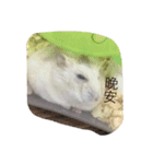 moues（個別スタンプ：10）