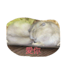 moues（個別スタンプ：13）