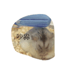 moues（個別スタンプ：15）
