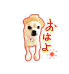 チワブルくまちゃん。（個別スタンプ：5）
