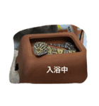 レオパとウーパー（個別スタンプ：2）