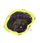 ひじきちゃんお試しスタンプ（個別スタンプ：3）