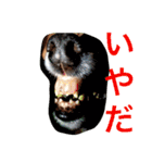 愛しのchamp（個別スタンプ：2）