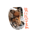 愛しのchamp（個別スタンプ：4）