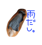 愛しのchamp（個別スタンプ：8）