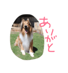 愛しのchamp（個別スタンプ：9）