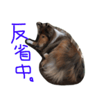 愛しのchamp（個別スタンプ：10）