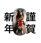 愛しのchamp（個別スタンプ：11）