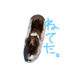 愛しのchamp（個別スタンプ：14）