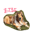愛しのchamp（個別スタンプ：18）