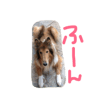 愛しのchamp（個別スタンプ：19）
