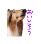 愛しのchamp（個別スタンプ：22）