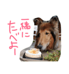 愛しのchamp（個別スタンプ：24）