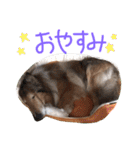愛しのchamp（個別スタンプ：26）