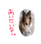 愛しのchamp（個別スタンプ：28）