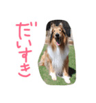 愛しのchamp（個別スタンプ：30）