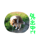 愛しのchamp（個別スタンプ：32）