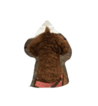 トイプーちゃんわさび（個別スタンプ：7）